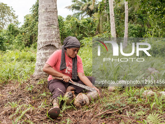 Nurhayati Jumadi, 37, is a mother who is part of a group of residents refusing to sell cassava plantation land to a mining industry company... by Muhammad Fauzy/NurPhoto