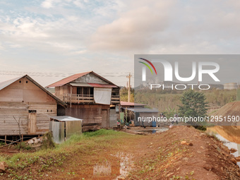 The area of wooden houses belongs to residents around the mining industry company and nickel ore processing smelter in Kawasi Village, Obi I... by Muhammad Fauzy/NurPhoto