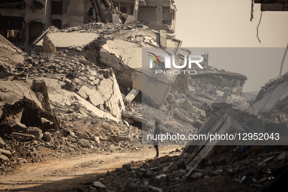 A Hamas militant guards an area where they search for the bodies of hostages with the help of the International Committee of the Red Cross (... by Majdi Fathi/NurPhoto