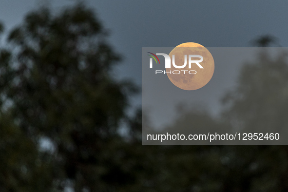 The Beaver Moon, the full moon of November, which is the second of three supermoons of 2025 and the closest full moon to Earth this year, ri... by Kostas Pikoulas/NurPhoto