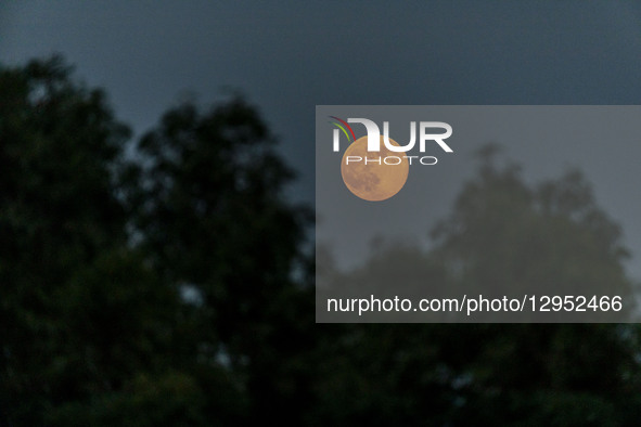 The Beaver Moon, the full moon of November, which is the second of three supermoons of 2025 and the closest full moon to Earth this year, ri... by Kostas Pikoulas/NurPhoto