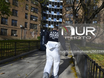 Members of the NYPD crime scene unit, police officers, and detectives, including the medical examiner's office, work the crime scene where f... by Kyle Mazza/NurPhoto
