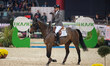 Luiz Felipe Neto de Azevedo from Brazil rides Quibus val Olv Hove in action during the CSI...