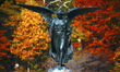 The Bethesda Fountain is one of Central Park's most beloved works of art in New York City,...