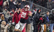 Wisconsin Badgers safety Matthew Jung (29) celebrates a defensive stop against the Washing...