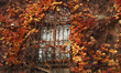 A window in the National Museum is covered with colorful leaves in Wroclaw, Poland, on Nov...