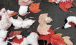 Leaves are covered with snow during the first snowfall of the season in Toronto, Ontario,...