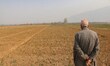 Syed Zeyahudin, 85, a Kashmiri saffron farmer, inspects his saffron fields, usually covere...