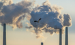 An American bald eagle is seen in flight as pollution and steam rise from the stacks of th...