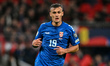 Aleksander Stankovic, 19, from Serbia, participates in the FIFA World Cup Group F Qualifyi...
