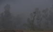 A Nepali woman works in her field on a foggy winter morning in Lalitpur, Nepal, on Novembe...
