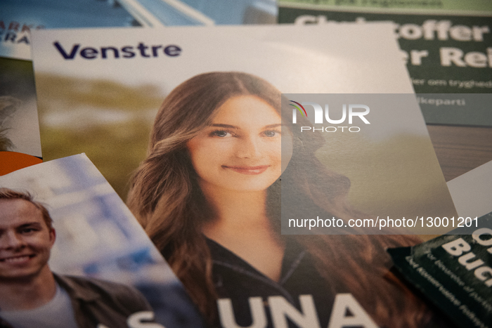 Municipal And Regional Elections In Denmark