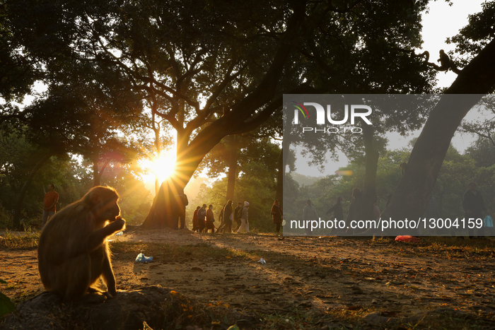 Nepal Observes Bala Chaturdashi, A Festival To Give Salvation To Departed Souls