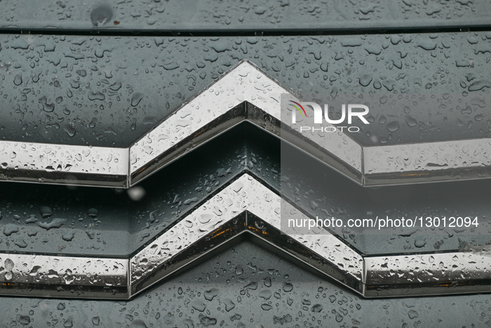 Daily Life In Krakow