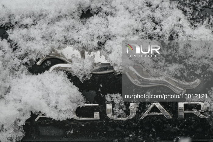 Daily Life In Krakow