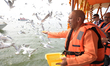 Yogi Adityanath, Chief Minister of India's Uttar Pradesh state, feeds Siberian seagulls at...