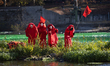 The Red Rebel Brigade performs on a small island formed by the unusually low flow of the r...