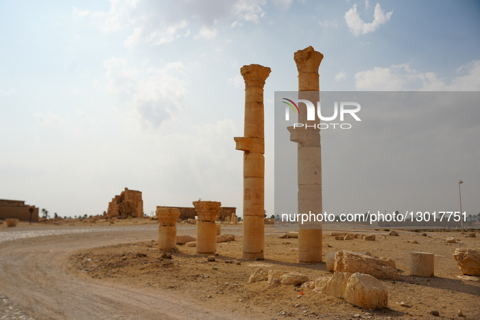 Palmyra, The Ancient City Of Tadmor