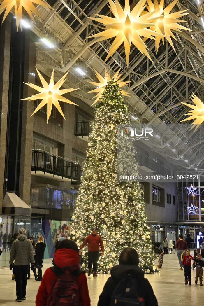 Christmas Tree In Toronto, Canada