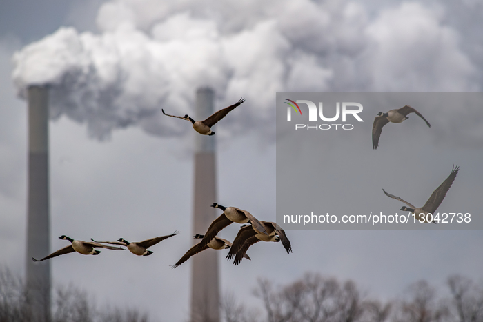 Pollution And Wildlife In Indiana 