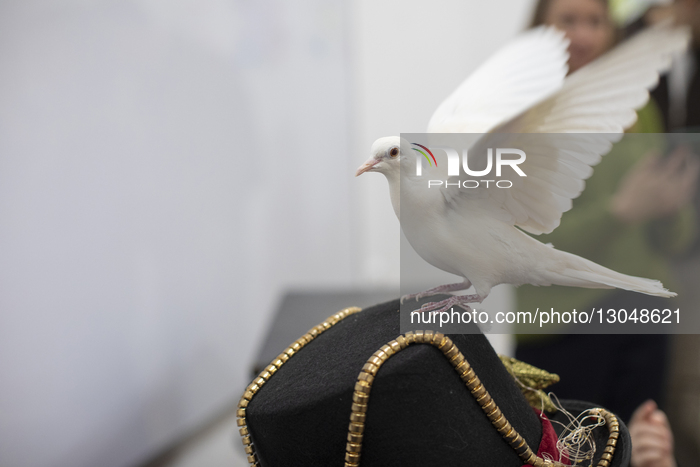 Using Animals At Celebrations