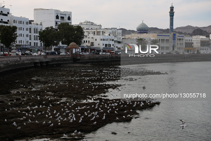 Daily Life In Muscat