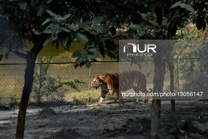 Daily Life In India. 