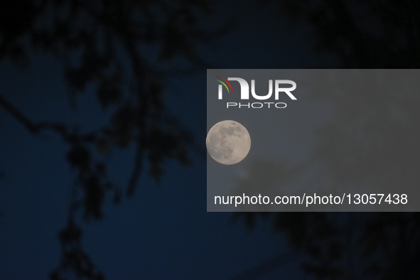 The last supermoon, also known as the cold moon, rises in Srinagar, Kashmir, India, on December 4, 2025.  by Faisal Khan/NurPhoto