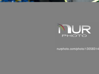 De Graafschap midfielder Jason Meerstadt during the match Vitesse vs De Graafschap at the GelreDome for the Dutch Keuken Kampioen Divisie se... by EYE4images/NurPhoto