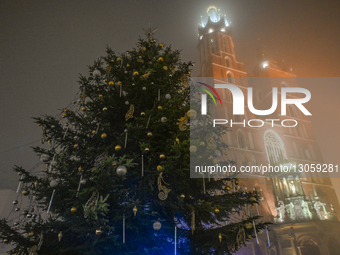 KRAKOW, POLAND – DECEMBER 4:
A view of the newly decorated Christmas tree standing in front of St. Mary’s Basilica, awaiting its official we... by Artur Widak/NurPhoto