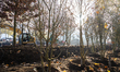 A view of Place Colonel Fabien undergoes construction to become an urban forest in Paris,...