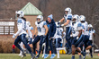 The Villanova Wildcats bench celebrates during an NCAA Football Championship Series footba...