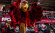 The Hawk, the St. Joseph's Hawks mascot, performs during an NCAA men's basketball game at...