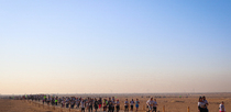 Editorial photo: Runners participate in the Pyramids Half Marathon in Giza, Egypt, on December 13, 2025.  by Ahmed Mosaad/NurPhoto