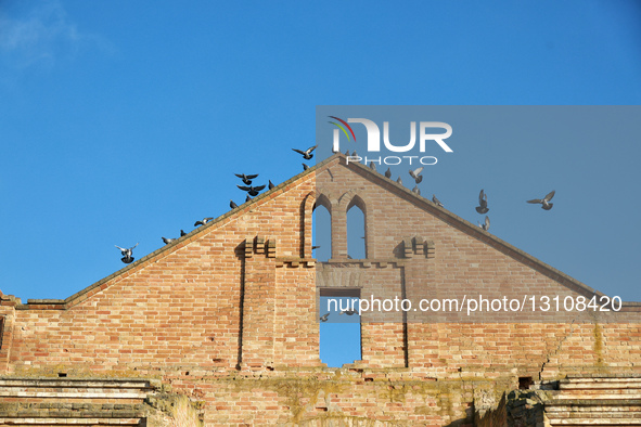 Pigeons perch on the ruins of the Lutheran church built by German colonists in Dolynivka village, Bilhorod-Dnistrovskyi district, Odesa regi... by Nina Liashonok/Ukrinform/NurPhoto