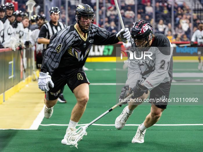 Colorado Mammoth Vs Philadelphia Wings NLL Box Lacrosse