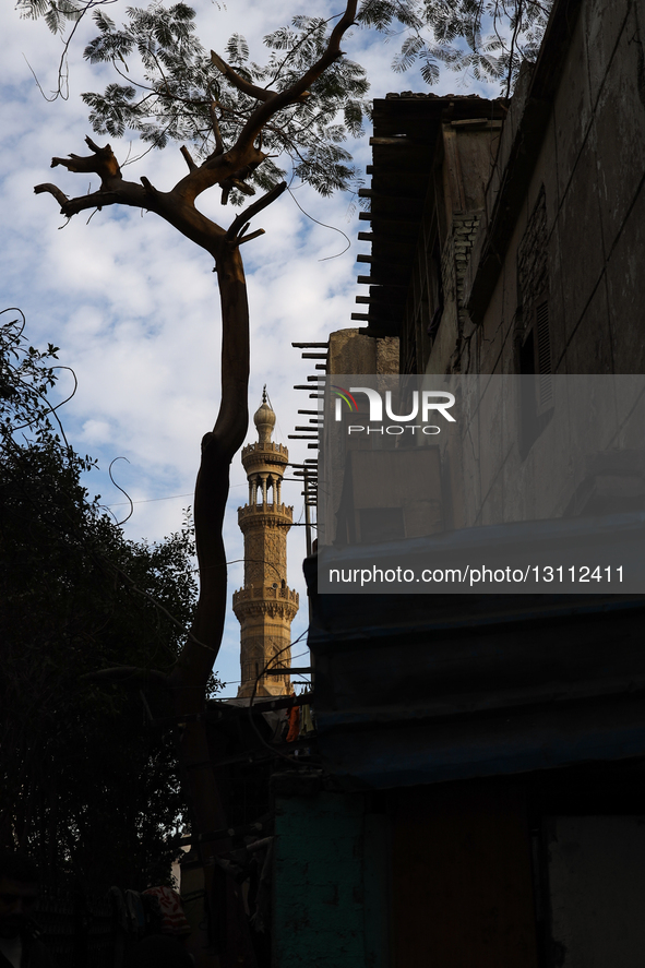 Egyptians and devotees of Ahl al-Bayt celebrate the birth anniversary of Imam Ali Zayn al-Abidin in the Sayyida Zaynab district of Cairo, Eg... by Doaa Adel/NurPhoto