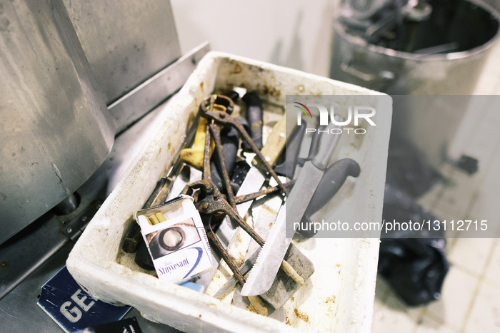 Keratsini Central Fish Market