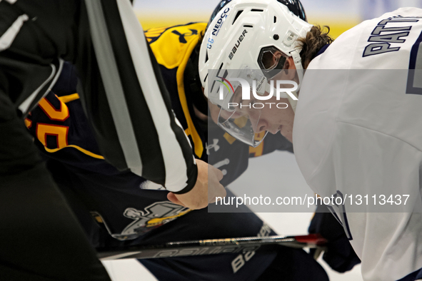 Troy Patton of the Brampton Steelheads waits for the puck to be dropped during an Ontario Hockey League game between the Brampton Steelheads... by Mike Campbell/NurPhoto