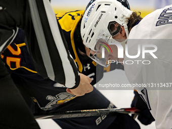 Troy Patton of the Brampton Steelheads waits for the puck to be dropped during an Ontario Hockey League game between the Brampton Steelheads... by Mike Campbell/NurPhoto