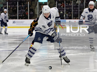 Parker von Richter of the Brampton Steelheads skates with the puck during an Ontario Hockey League game between the Brampton Steelheads and... by Mike Campbell/NurPhoto