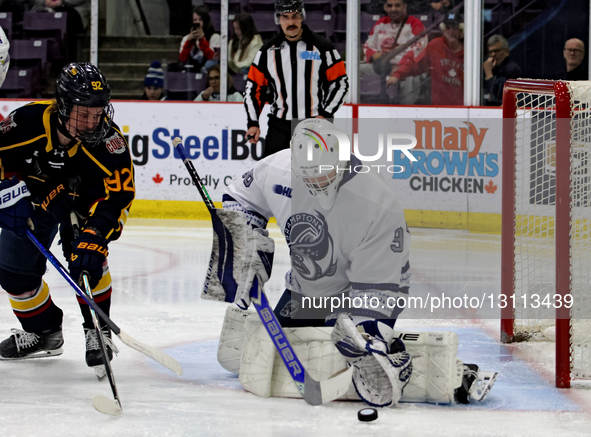 Luke Johnson of the Brampton Steelheads makes a save during an Ontario Hockey League game between the Brampton Steelheads and the Barrie Col... by Mike Campbell/NurPhoto