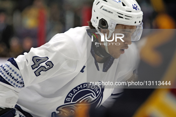 Maneul Amado of the Brampton Steelheads plays during an Ontario Hockey League game between the Brampton Steelheads and the Barrie Colts at t... by Mike Campbell/NurPhoto
