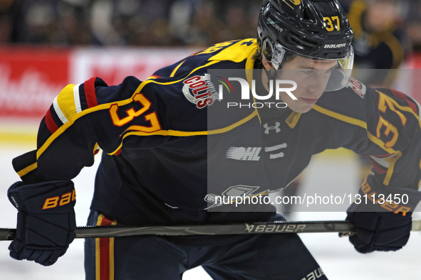 Barrie Colts player Eamon Edgar participates in an Ontario Hockey League game between the Brampton Steelheads and the Barrie Colts at the CA... by Mike Campbell/NurPhoto