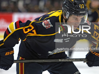 Barrie Colts player Eamon Edgar participates in an Ontario Hockey League game between the Brampton Steelheads and the Barrie Colts at the CA... by Mike Campbell/NurPhoto