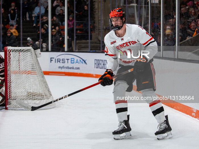 Brown v Princeton - NCAA Men's Ice Hockey