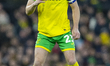 Kenny McLean of Norwich City plays during the Sky Bet Championship match between Norwich C...
