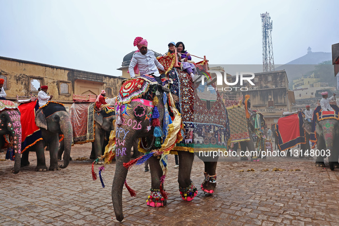 New Year Elephant Ride At Amer Fort In Jaipur 