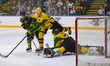 Tim Doherty of Nottingham Panthers shoots and scores for the Panthers as Grzegorz Pasiut o...
