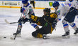 During the Nottingham Panthers vs. HK Torpedo 2026 IIHF Continental Cup Final at Motorpoin...